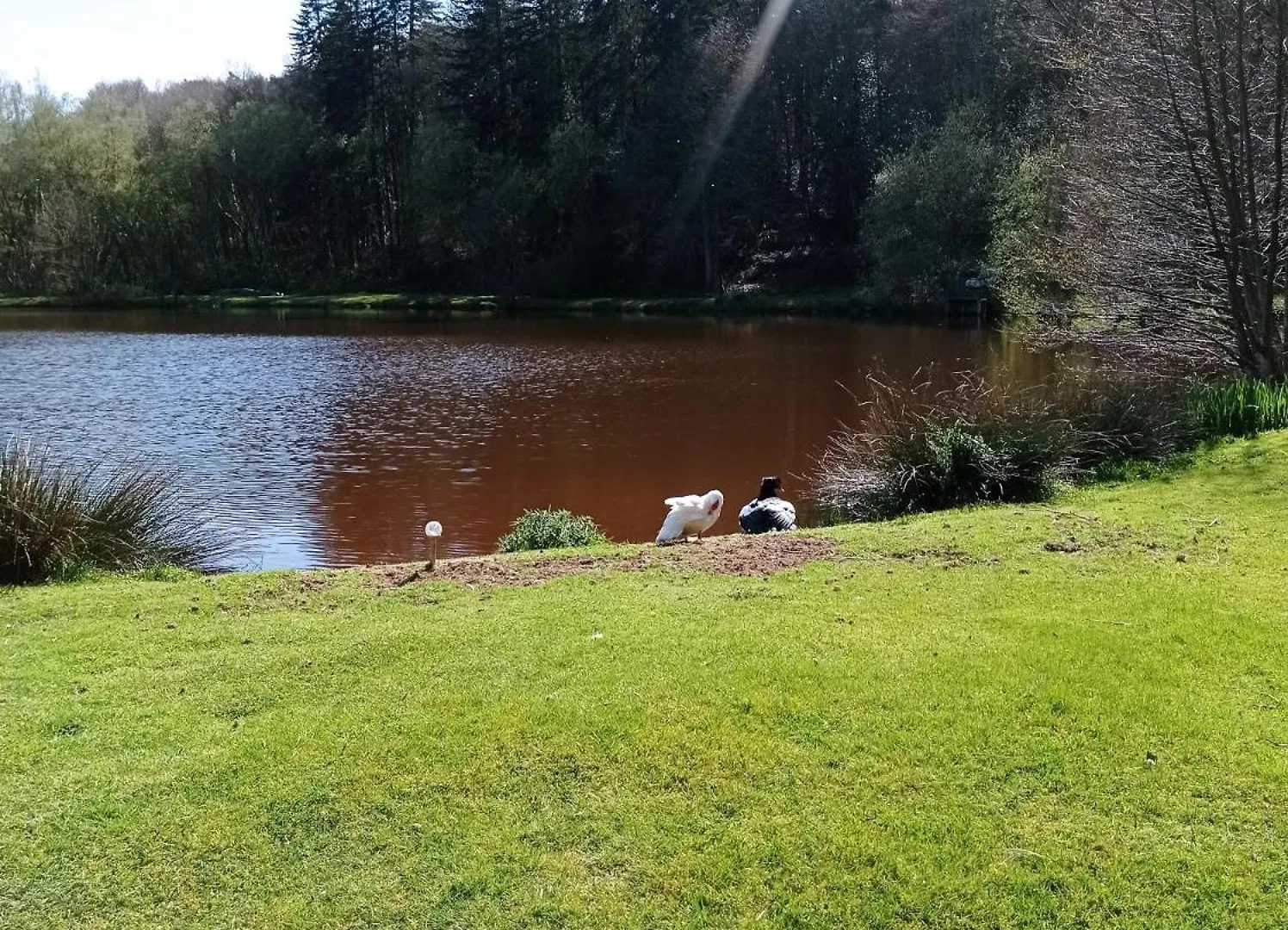 L'Etang Magique Hotel Plenee-Jugon Campsite